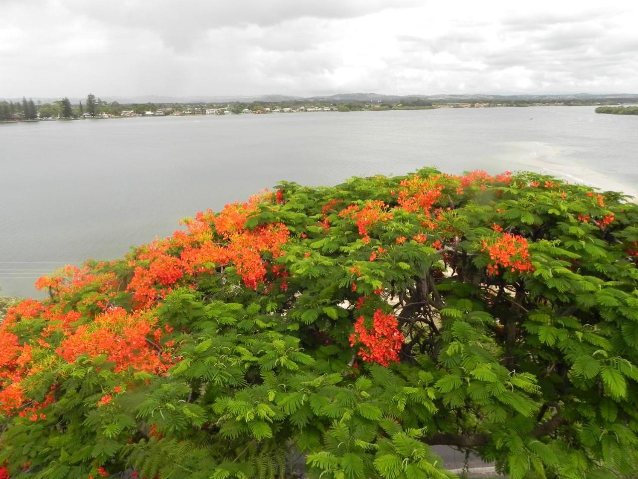 Leisure-Lee Holiday Apartments Ballina Esterno foto